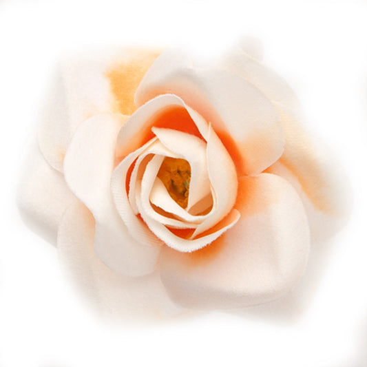 Mini Rose (17) Ivory