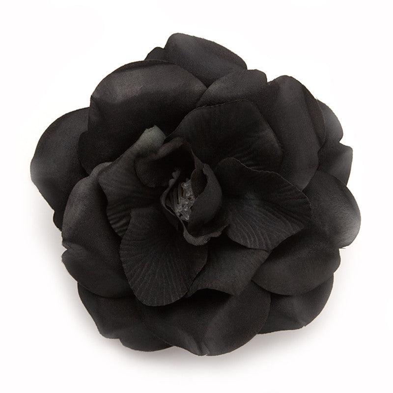Wild Rose (23) Black