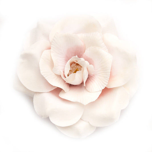 Wild Rose (27) Pearl