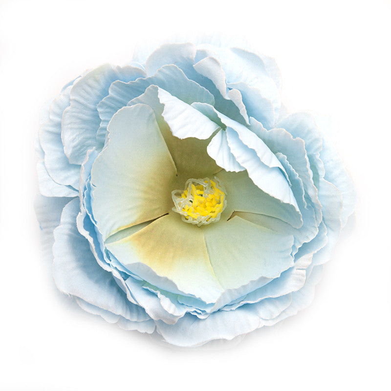 English Rose (38) Blue aqua