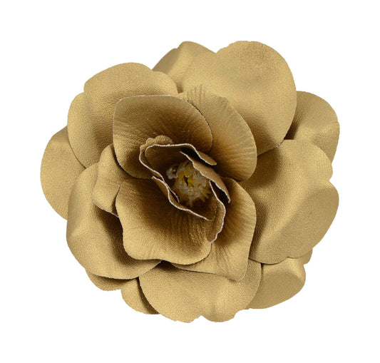 Wild Rose, (50) Gold
